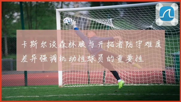 卡斯尔谈森林狼与开拓者防守难度差异强调机动性球员的重要性