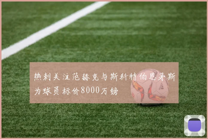 热刺关注范赫克与斯科特伯恩茅斯为球员标价8000万镑