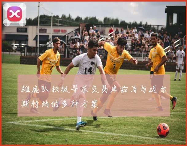 雄鹿队积极寻求交易库兹马与迈尔斯特纳的多种方案